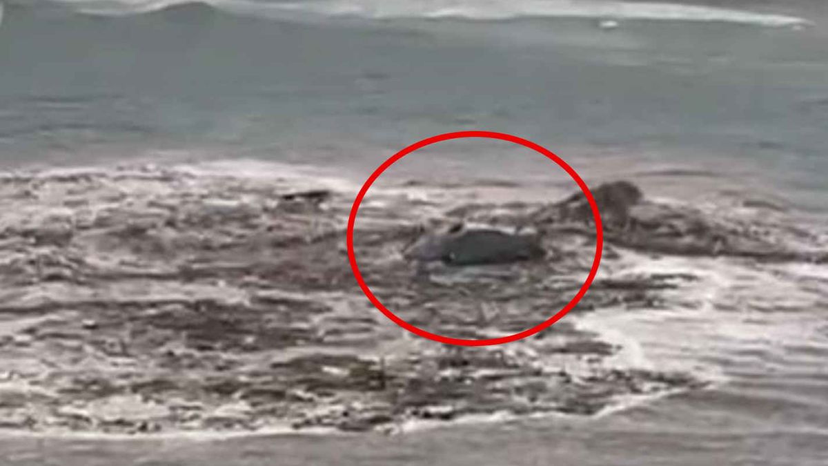 Woda porwała samochód wprost do oceanu