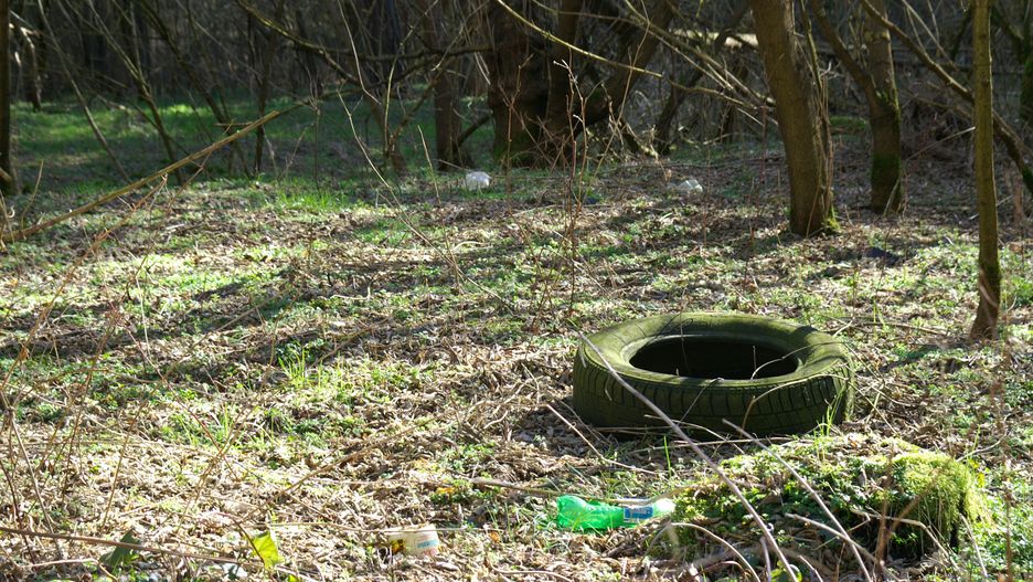 Taki widok jest niestety często spotykany w polskich lasach 