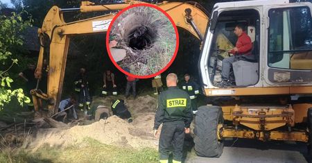 Osiem godzin dramatu. Koń był uwięziony w studni
