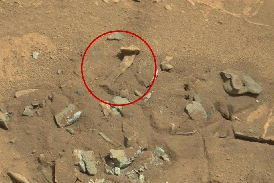 "Ludzkie kości" na Marsie. Naukowcy wyjaśniają, co to takiego
