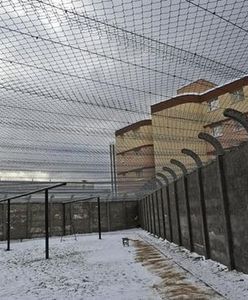 Kolejne samobójstwo w więzieniu w Białołęce. Mężczyzna powiesił się na sznurówce