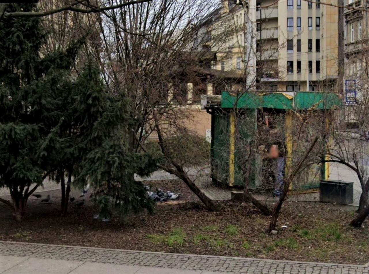 Szczury przejmują Wrocław. "Aż ciarki przechodzą"