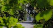 Poznań: Część parku Cytadela zamknięta dla spacerowiczów