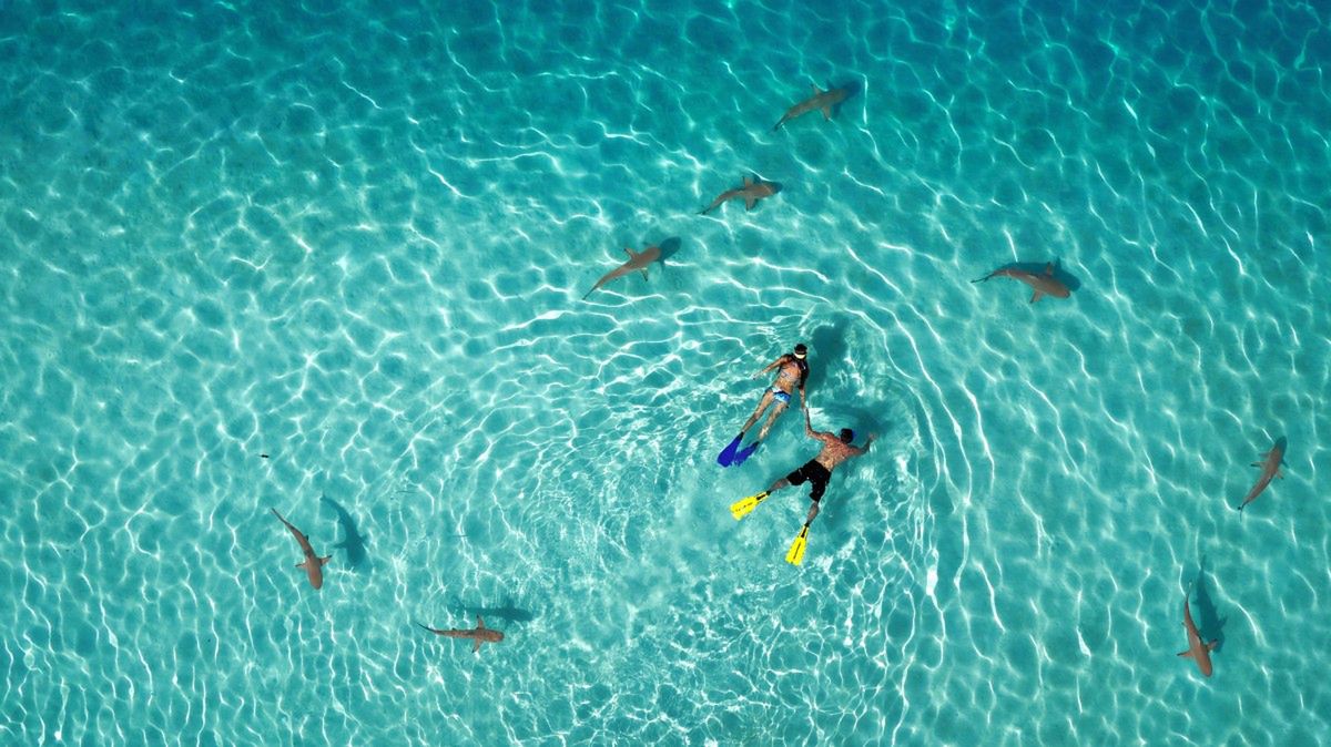 Drone Aerial Photography Contest 2015 2