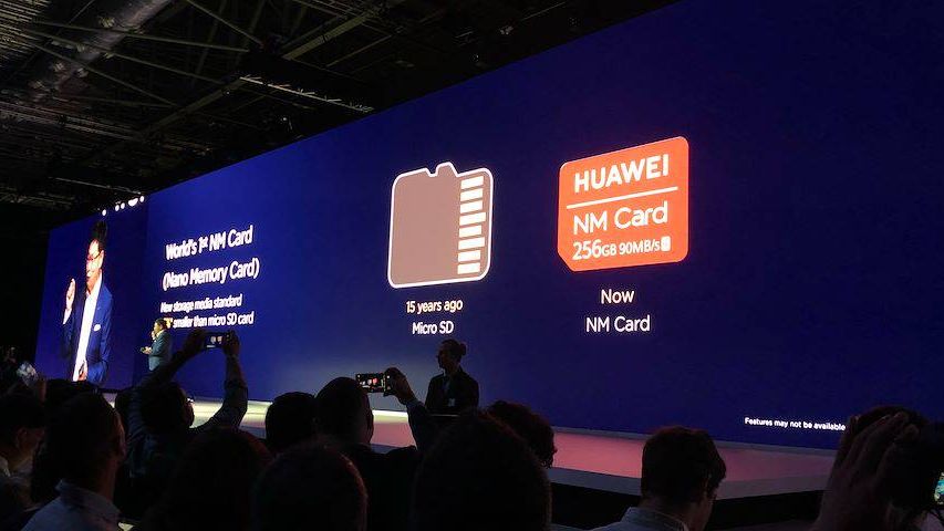 Fot. Komórkomania (Miron Nurski)