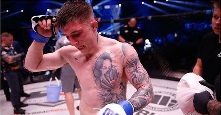 Norman Parke podgrzewa atmosferę. Wyśmiał Don Kasjo w sieci