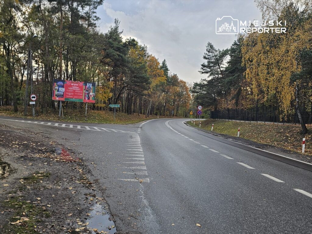 Droga zakręca w lewo, przy niej billboard reklamowy oraz znaki drogowe w otoczeniu jesiennych drzew.