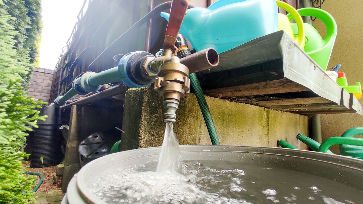 Potężna grzywna albo ograniczenie wolności. Tego nie można robić z deszczówką