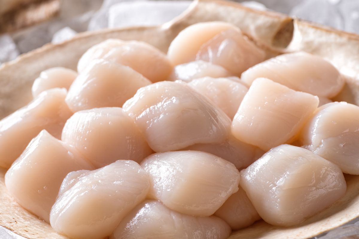 Why scallops should be your next culinary delight