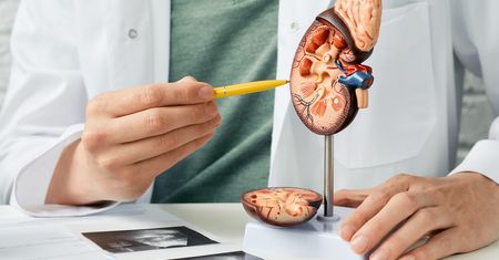 Nefropatia zaporowa - przyczyny, objawy, diagnostyka i leczenie
