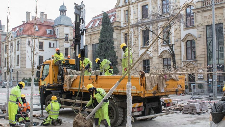 Na ul. Dworcowej w Katowicach drzewa zastąpią samochody.