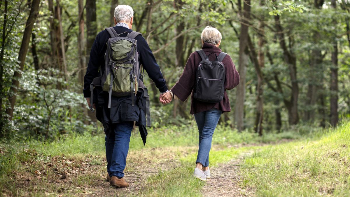 Podczas wypraw do niemieckich lasów trzeba zachować ostrożność.