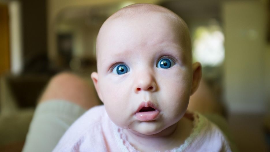 Choć geny odgrywają istotną rolę, środowisko również ma duży wpływ na inteligencję