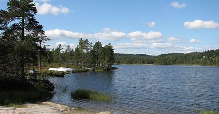 Sprawdź, jak radzić sobie z alergią w podróży