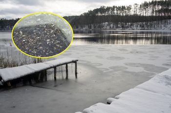 Na Pomorzu trwa walka z czasem. Ryby masowo giną pod lodem