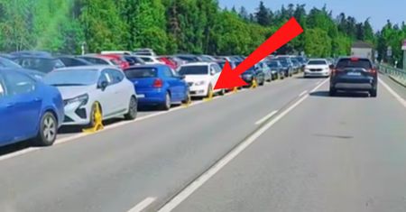 "Ale żniwa". Nagranie z Tatr obiega sieć. Komentarz zbędny