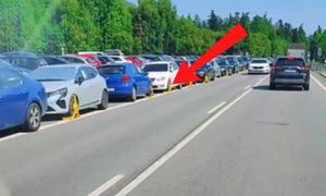 "Ale żniwa". Nagranie z Tatr obiega sieć. Komentarz zbędny