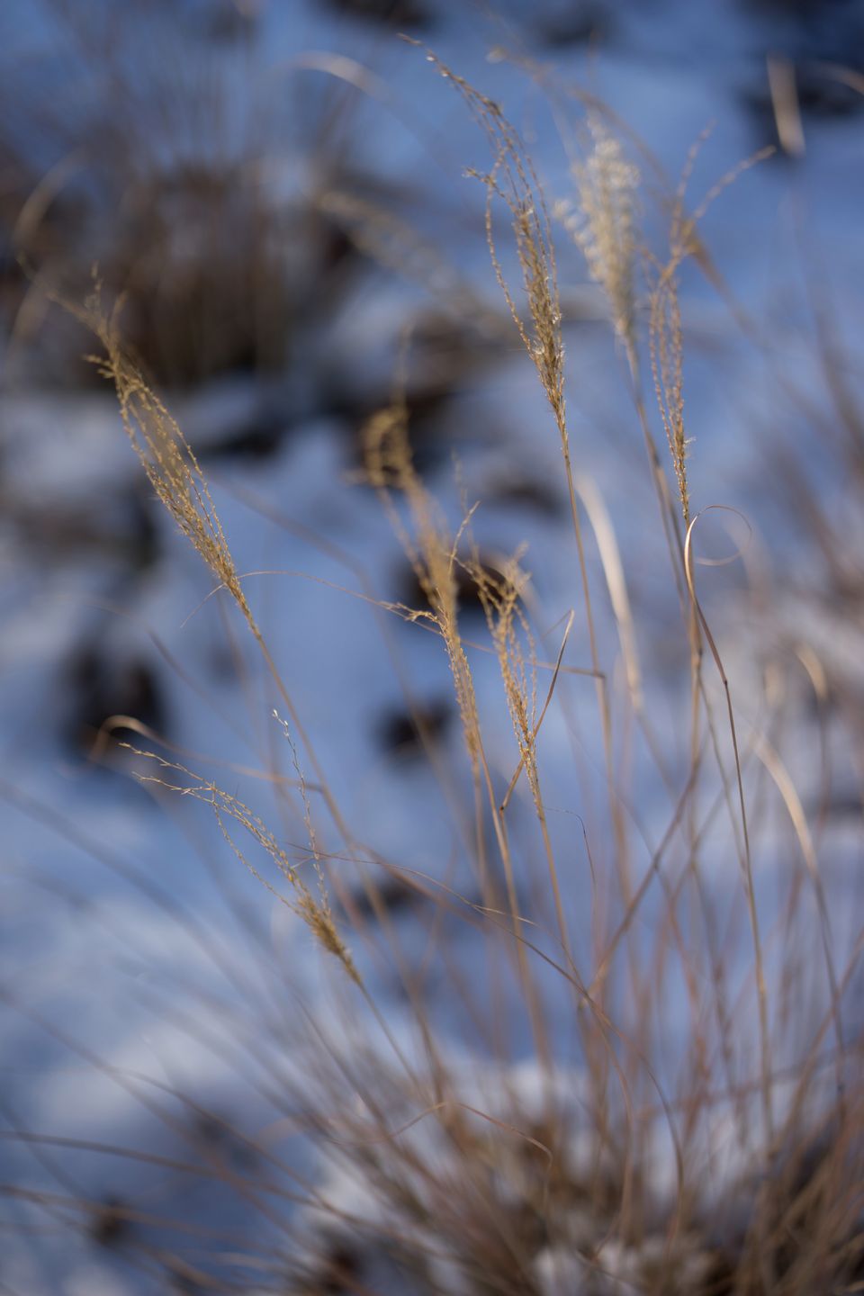 Zeiss Batis 85 mm f/1.8 - test portretówki do Sony A7 89