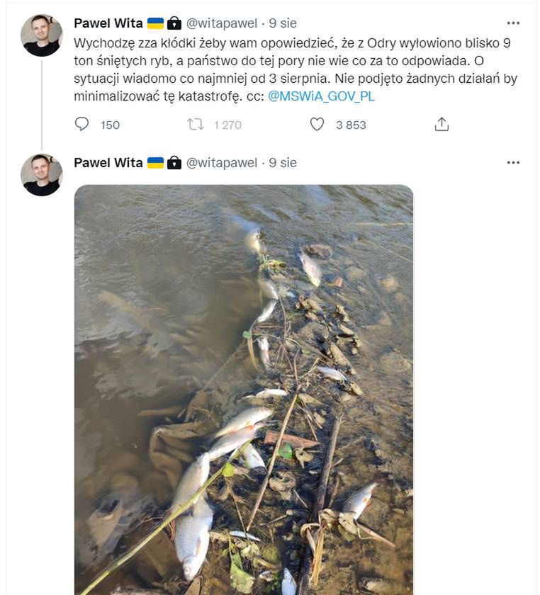 Jedne z pierwszych wpisów na Twitterze