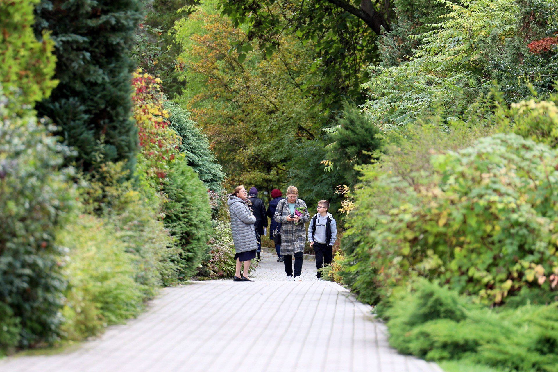 Jesień w ogrodzie botanicznym to nie tylko uczta dla oczu, ale i chwila wytchnienia, szczególnie w weekend. Feeria kolorów przyciągała zarówno miłośników fotografii, jak i tych, którzy po prostu chcieli nacieszyć się jeszcze wielobarwną naturą.