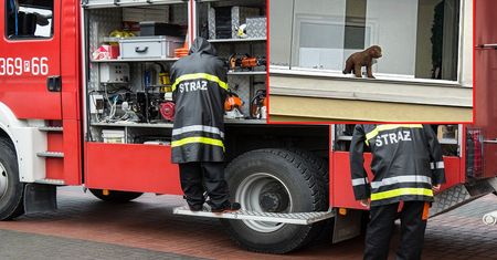 Zauważyli małego pieska na balkonie. Interweniowali strażacy. "Biedactwo"