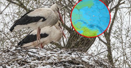 Wraca zimno. Piękny weekend i koniec. Śnieg w prognozie