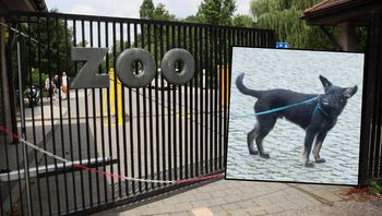 Próbowali "przemycić" psa na teren zoo w Warszawie. Internauci komentują