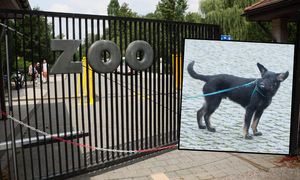 Próbowali "przemycić" psa na teren zoo w Warszawie. Internauci komentują