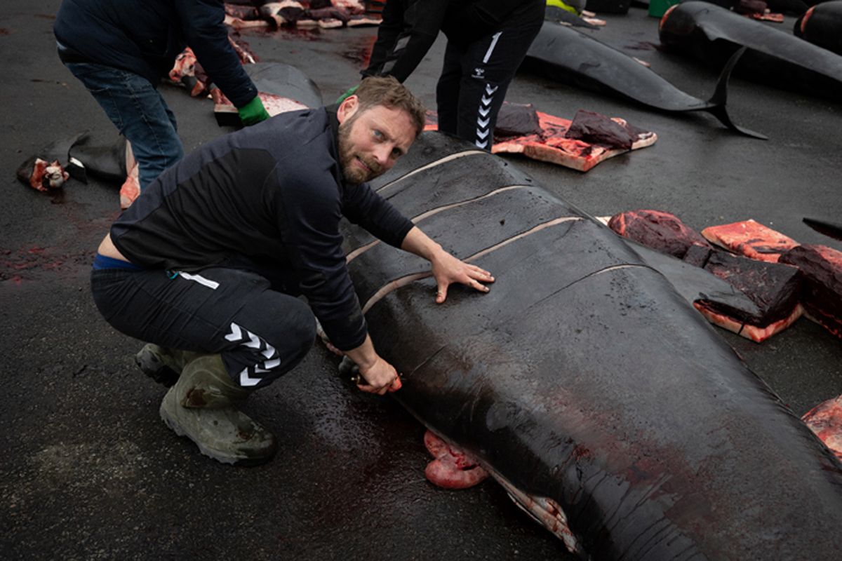 Grand Press Photo 2022: Najlepsze polskie zdjęcia prasowe zapierają dech w piersi 19