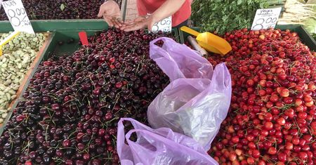 260 zł za 1 kg czereśni. "Pytanie: kto to kupił? Może owoce się popsuły?"