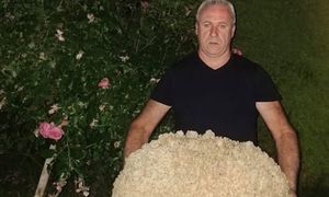Ważył ponad 15 kg. Grzybiarz nie krył zdziwienia