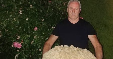 Ważył ponad 15 kg. Grzybiarz nie krył zdziwienia
