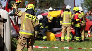 Jeleń utknął w przymarzniętym zalewie. Bohaterska akcja strażaków ocaliła zwierzę!