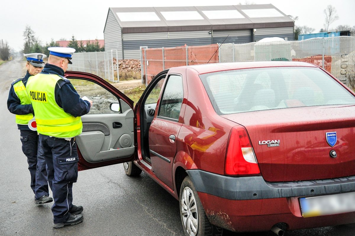 Policjant zajrzy do samochodu. Ruszyła wielka akcja policji