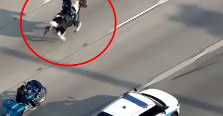 Jechał konno po autostradzie. Chciał zwrócić uwagę na ważny problem