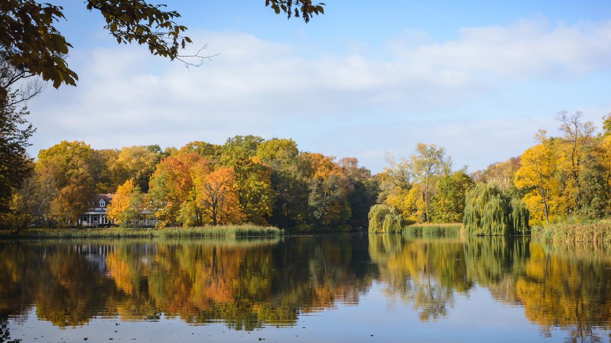 Inwazja raków w Poznaniu