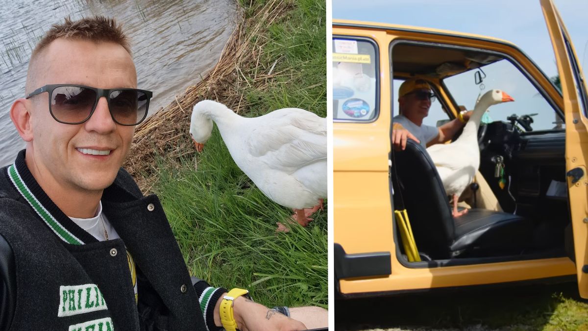 Kamil Trela z gęsią o imieniu Pipa, która stała się hitem internetu