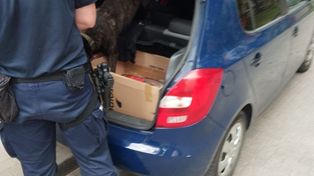 Białystok: Po zatrzymaniu jednego dilera policja namierzyła jeszcze dwóch
