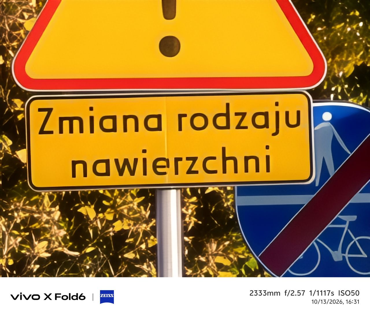 Przykładowe zdjęcie z vivo X Fold 6
