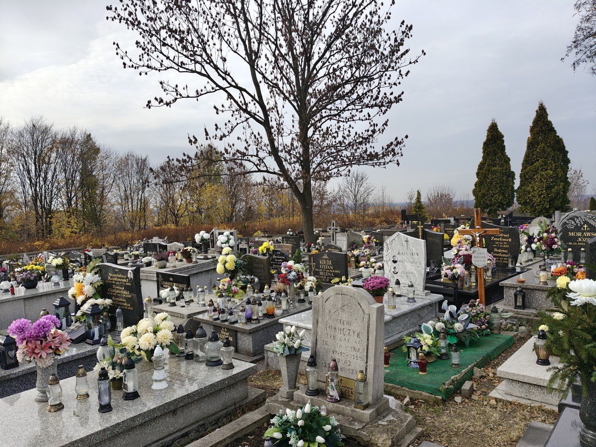 Przewijaj w dół, aby przejść do następnych zdjęć!