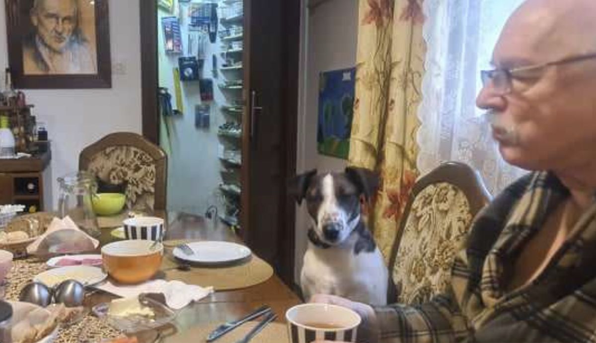 W domu Janusza Korwin-Mikkego pies Odi ma równe prawa z innymi domownikami. Siedzi przy stole, ma swój talerz, ale je tylko to, co mu się na nim położy i nigdy nie zaczyna jeść przed innymi biesiadnikami ("Na Psi Temat")