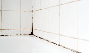 Wylej na fugi i poczekaj chwilę. Brud znika sam