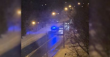 Wieczorne spacery watahy dzików po Czechowie. Interweniowała policja i straż miejska