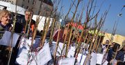 Gorzów: Jabłek może być więcej. Będzie sad renety landsberskiej?
