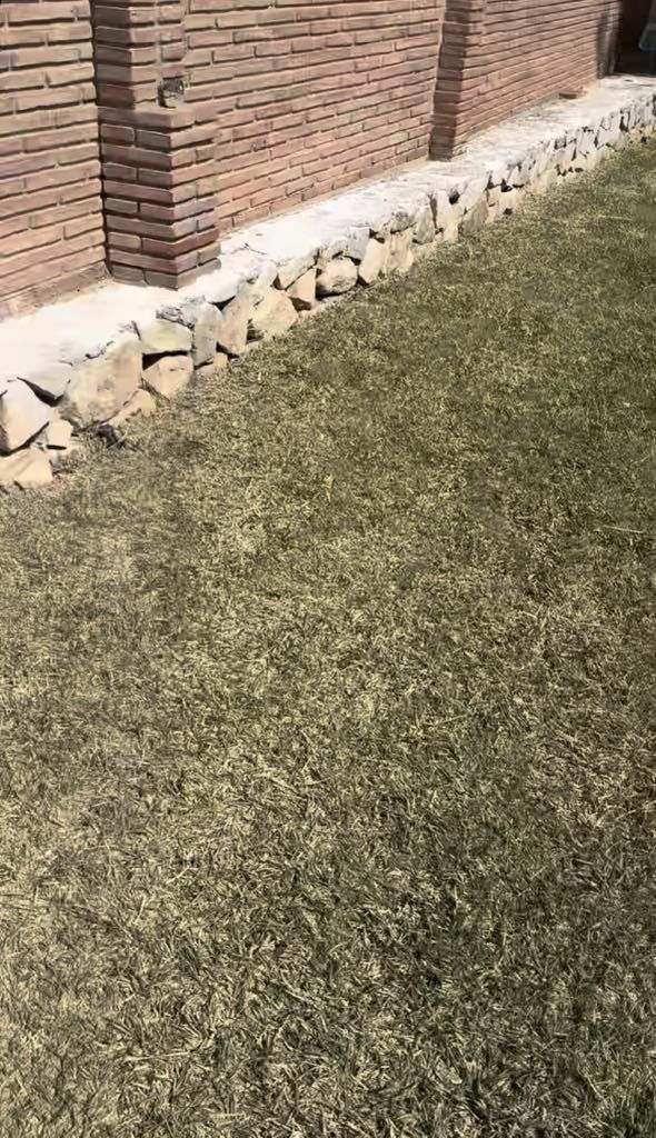 ogród Blanki Lipińskiej