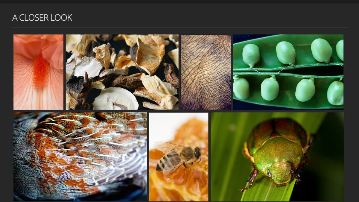 OFFSET - sposób na dochód z niewykorzystanych zdjęć 1