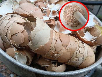 Nigdy nie wyrzucaj skorupek. Pokrusz je, już zawsze będziesz tak robić