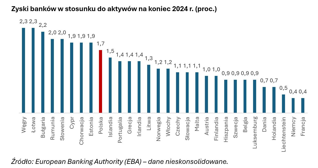 Najbardziej zyskowne były w 2024 r. banki z Europy Środkowo-Wsch