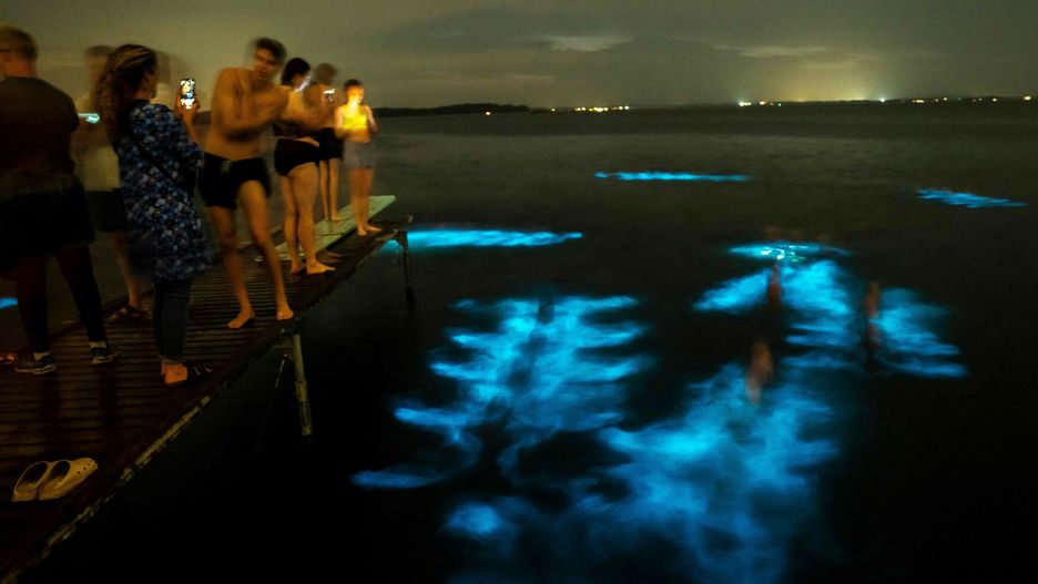 Sytuacja miała miejsce na plaży Roskilde Fjord w Danii
