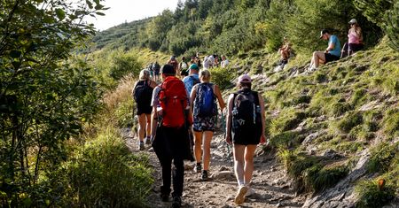 Wielka akcja w Tatrach. Ponure wnioski. Aż 90 proc. to Polacy